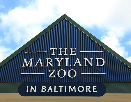 The Maryland Zoo in Baltimore